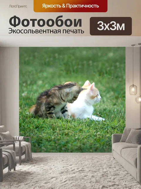 Фотообои Два котенка в траве