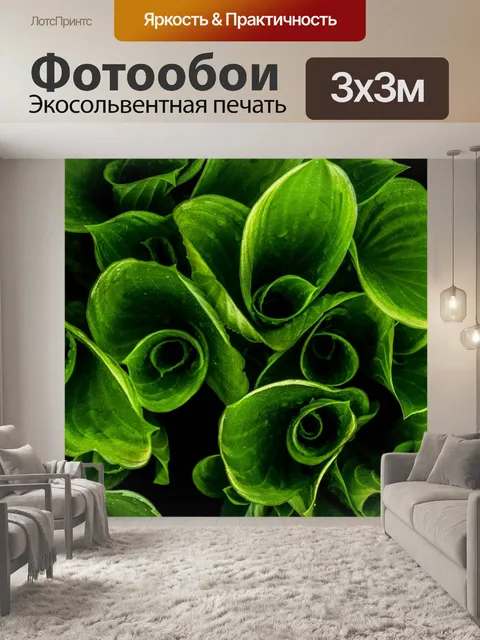 Фотообои Крупный план