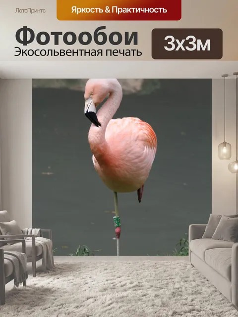 Фотообои Фламинго