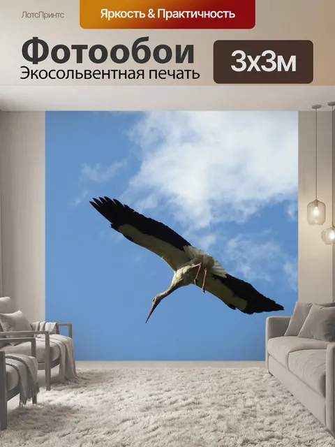 Фотообои Птицы