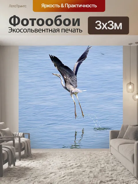 Фотообои Серая цапля