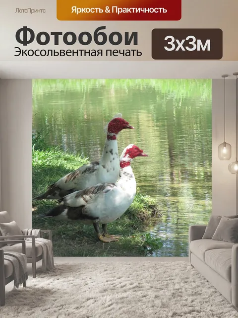 Фотообои Животные
