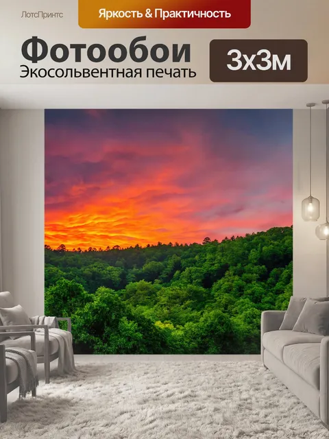 Фотообои закат над зелеными лесами с красочным небом