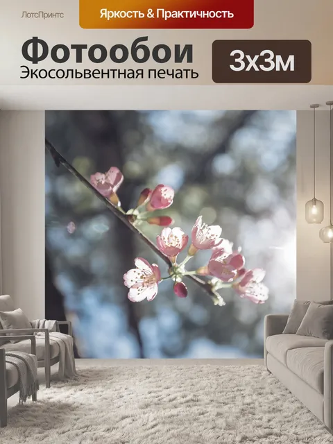Фотообои Цветок сакуры