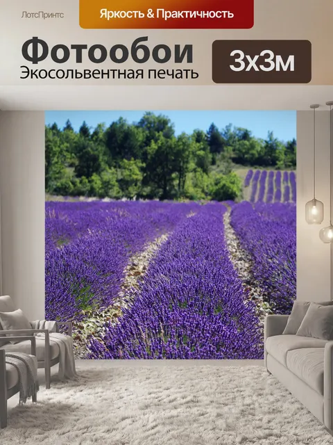 Фотообои Поле лаванды