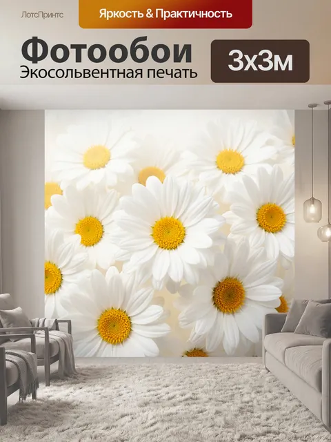 Фотообои Белые ромашки крупным планом