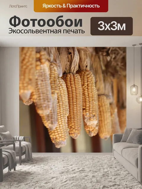 Фотообои Сухая кукуруза в початках