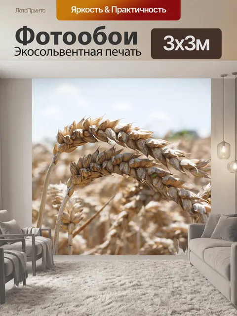 Фотообои Колосья пшеницы
