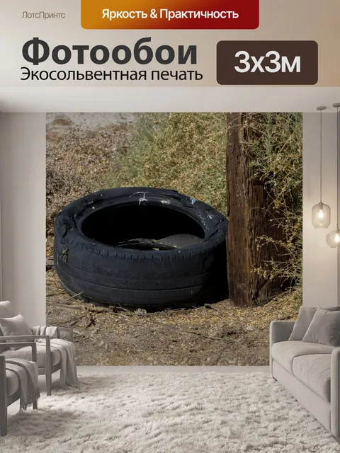 Фотообои брошенная шина