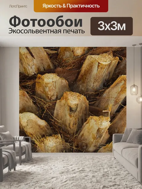 Фотообои Природа