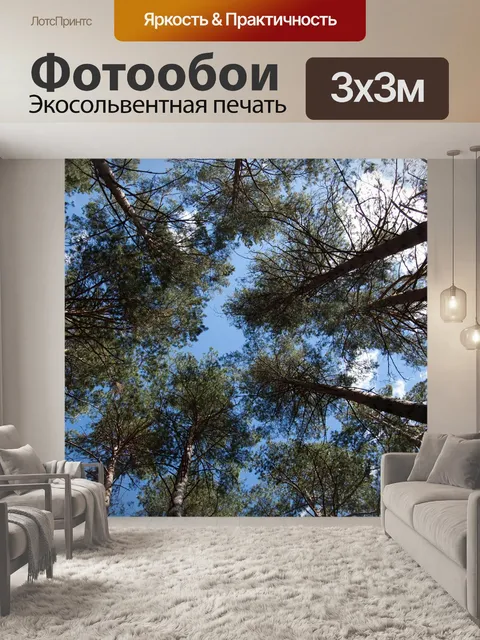 Фотообои Сосновый бор