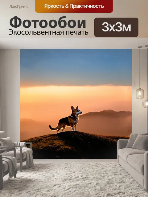 Фотообои в закатных лучах корги, стоящий на вершине холма, смотрит на далёкие горы, полные туманов