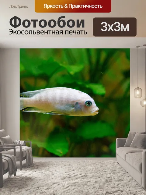 Фотообои Аквариумные рыбки