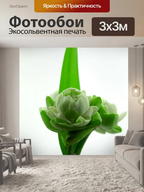 Фотообои Цветок белого лотоса