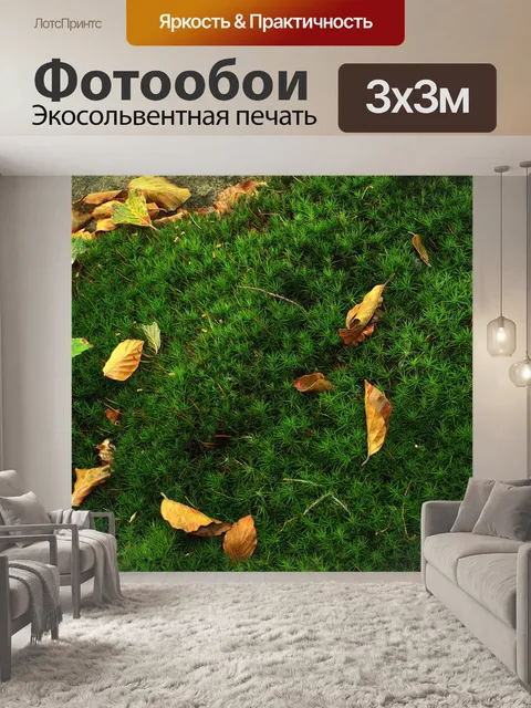 Фотообои Вниз