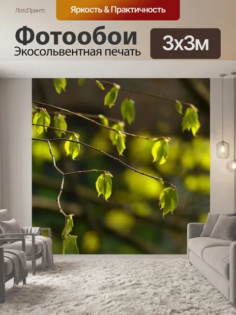 Фотообои Листья