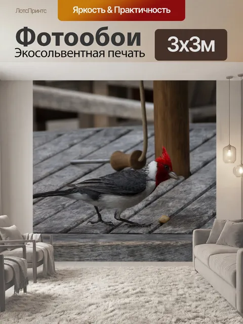 Фотообои Красный хохлатый кардинал