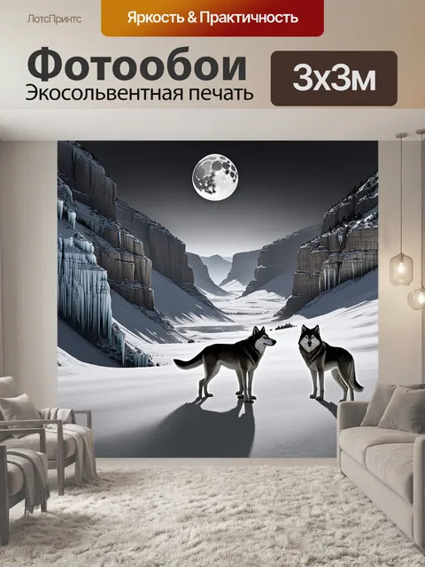Фотообои на фоне заснеженного каньона