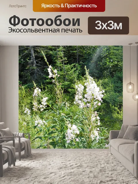 Фотообои Кипрей 2019 1