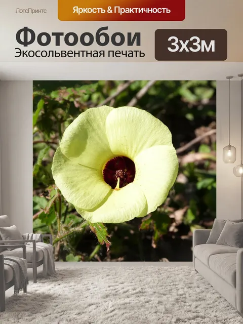 Фотообои Желтый цветок