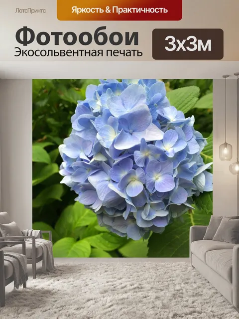 Фотообои Гортензия