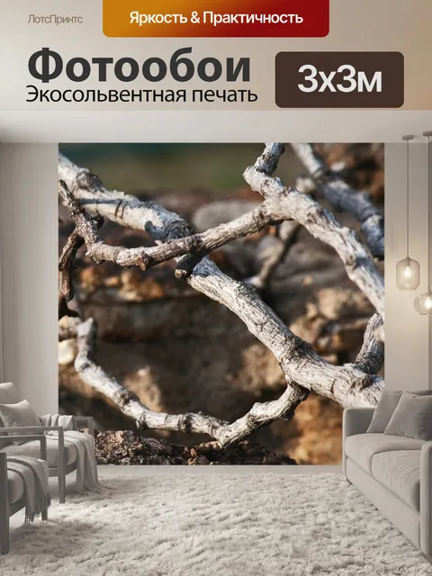 Фотообои вид сухих серых веток