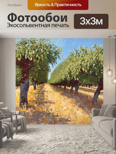 Фотообои прованс показывают бескрайние оливковые рощи с солнечными лучами