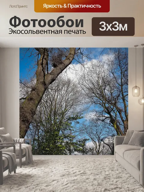 Фотообои Деревья