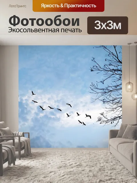 Фотообои Против света