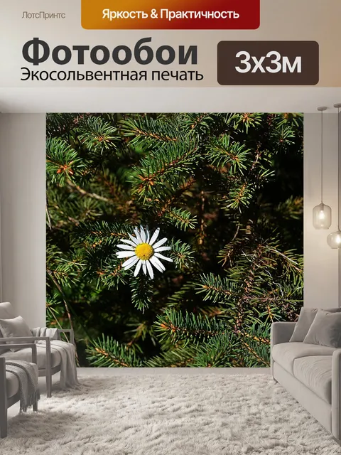 Фотообои Маргарита