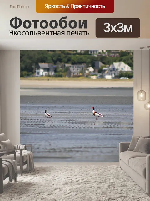 Фотообои Птицы