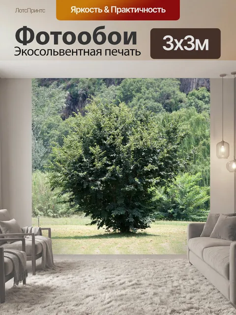 Фотообои небольшое дерево на лужайке