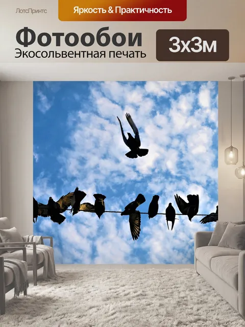 Фотообои Птицы