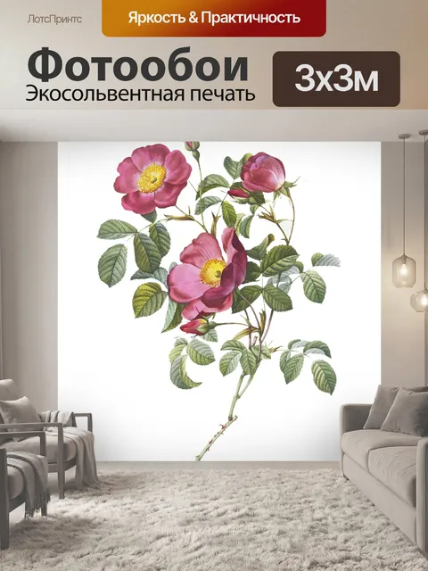 Фотообои Цветы