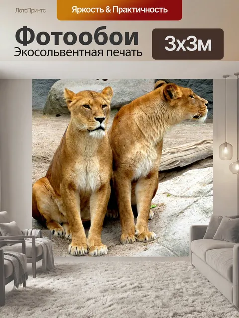 Фотообои Львица