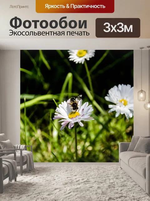 Фотообои Природа