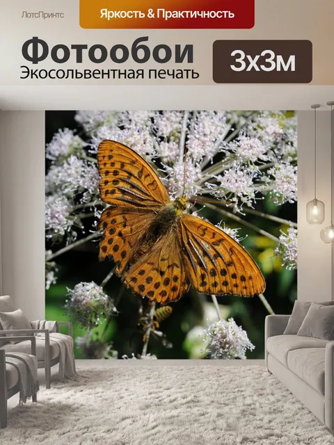 Фотообои Апельсин