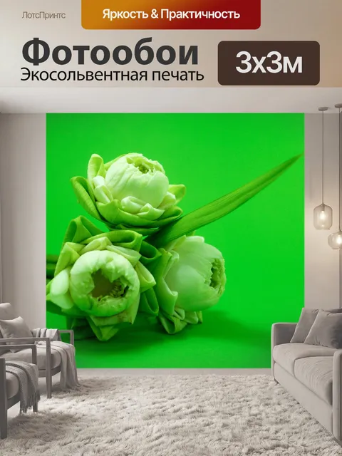Фотообои Цветок белого лотоса