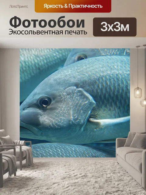Фотообои серебряная рыба в школе