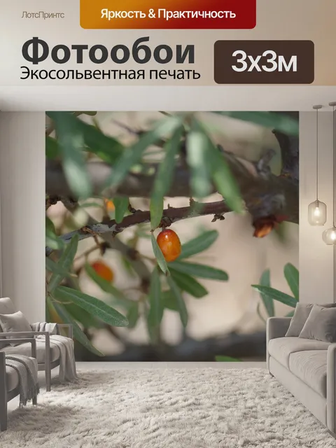 Фотообои Облепиха