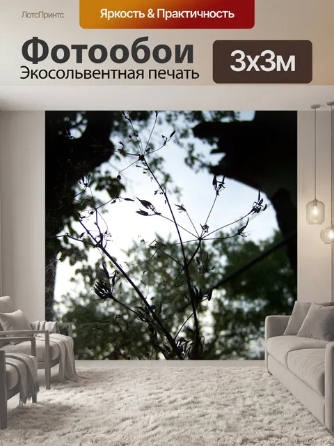 Фотообои Мистика