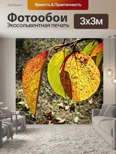Фотообои Листы