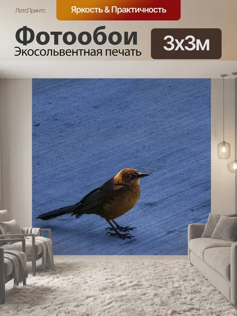 Фотообои коричневая птица