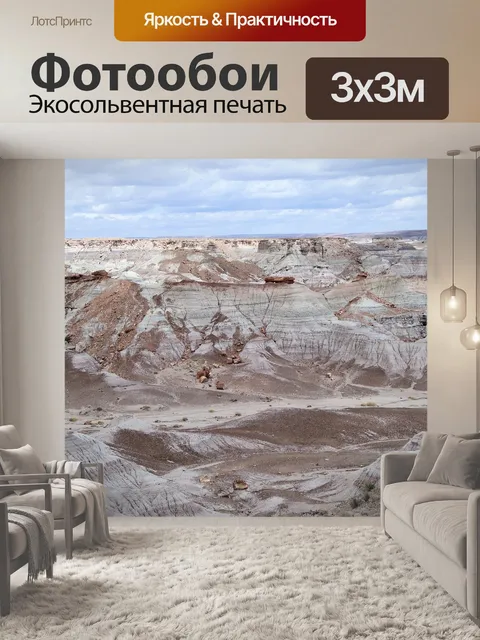 Фотообои Окаменевший лес национальный парк