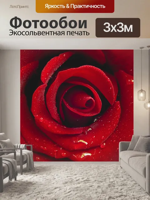 Фотообои Красная роза