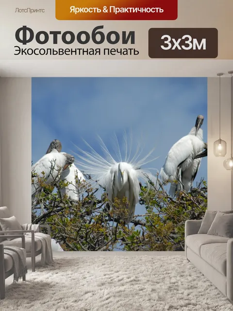 Фотообои Тропические птицы, гнездящиеся