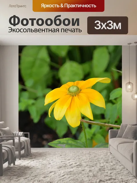 Фотообои Цветочная солнечная шляпа