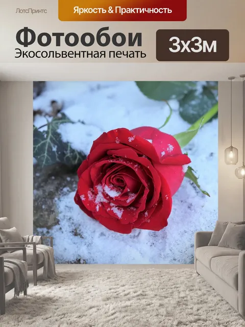 Фотообои Красная роза на камне