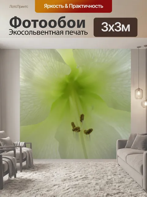 Фотообои Цветок