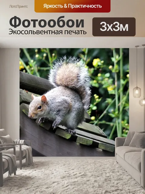 Фотообои Посетитель Сад